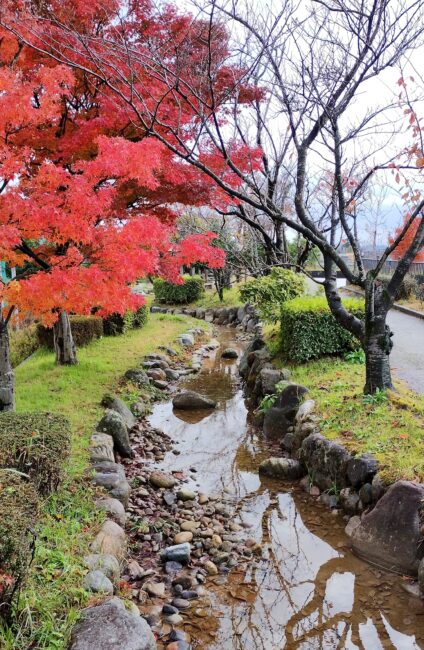 税務調査でスルーされているのは誤解！？令和5事務年度所得税及び消費